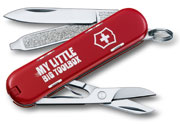 Victorinox 0.6223.L1404.S1