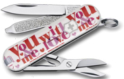 Victorinox 0.6223.L1108